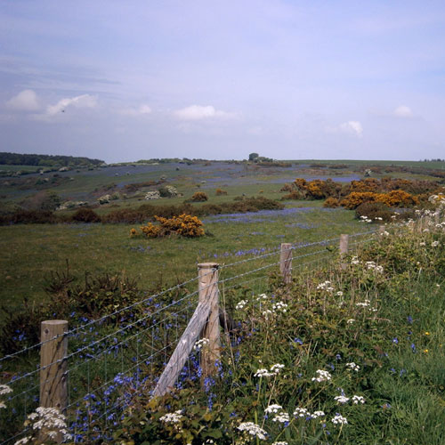 About Gorwell Farm Holiday Cottages - View over fields