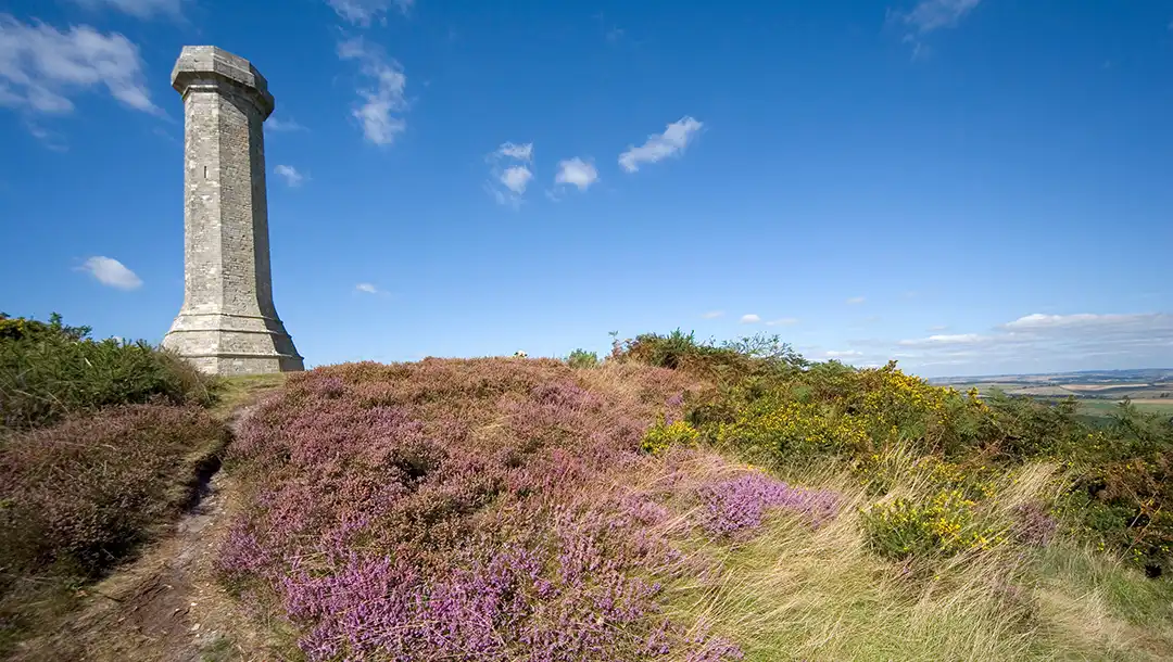 Five Dorset Walks Near Gorwell Farm