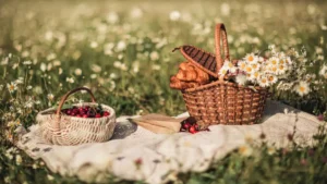 Picnic Ideas for Dorset Walks