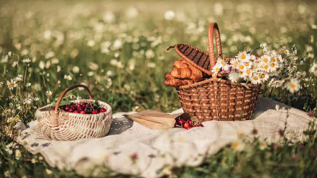 Picnic Ideas for Dorset Walks